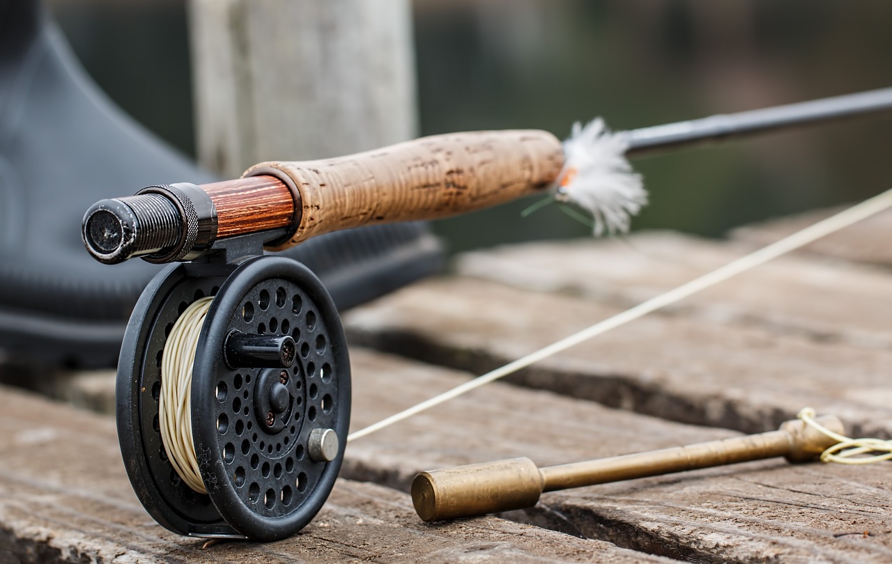 Fishing Reel Types